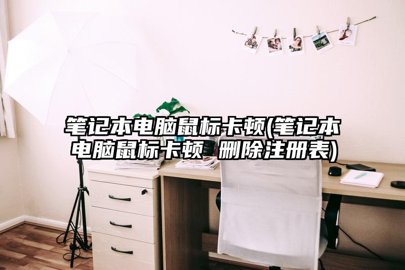 筆記本電腦鼠標(biāo)卡頓(筆記本電腦鼠標(biāo)卡頓 刪除注冊表)