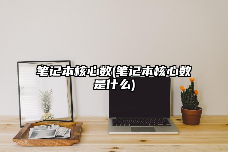 筆記本核心數(shù)(筆記本核心數(shù)是什么)