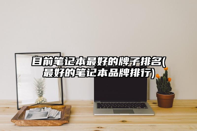 目前筆記本最好的牌子排名(最好的筆記本品牌排行)