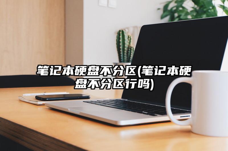 筆記本硬盤不分區(qū)(筆記本硬盤不分區(qū)行嗎)