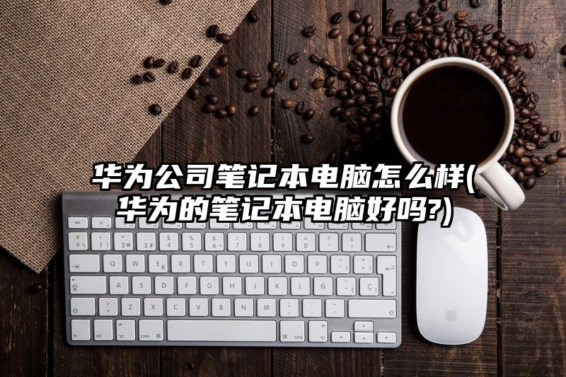 華為公司筆記本電腦怎么樣(華為的筆記本電腦好嗎?)