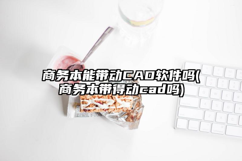 商務本能帶動CAD軟件嗎(商務本帶得動cad嗎)