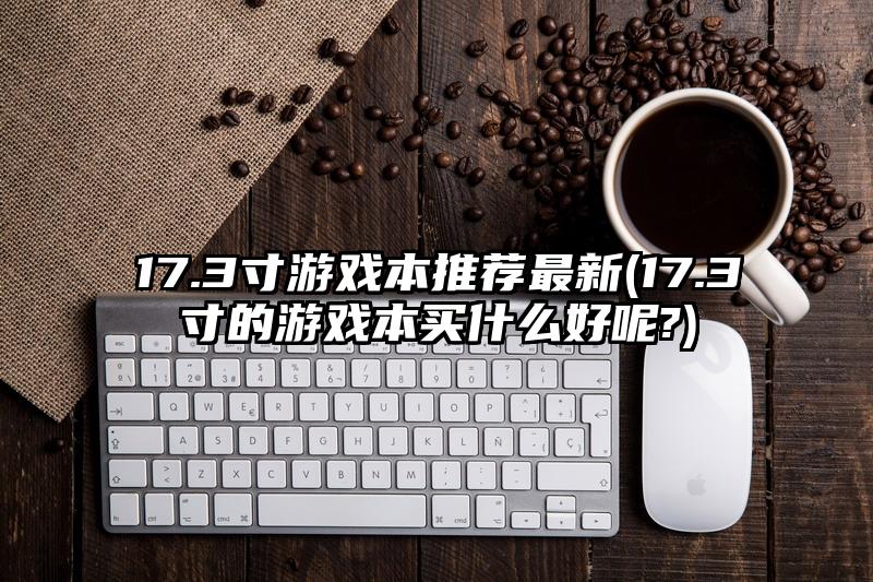 17.3寸游戲本推薦最新(17.3寸的游戲本買什么好呢?)