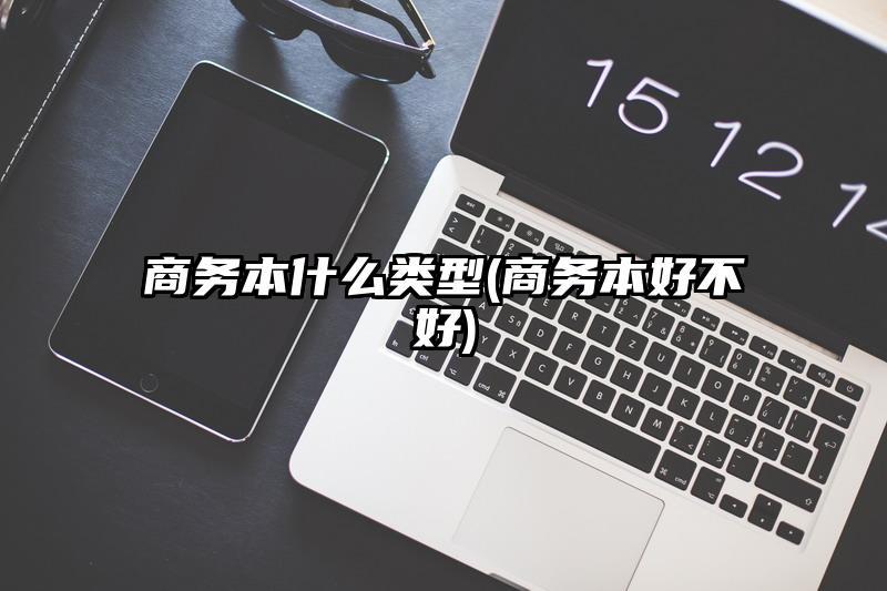 商務本什么類型(商務本好不好)