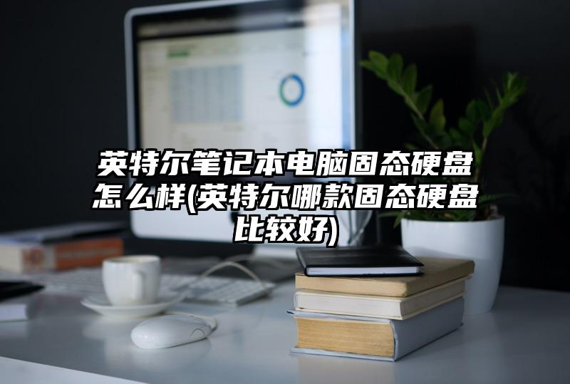 英特爾筆記本電腦固態硬盤怎么樣(英特爾哪款固態硬盤比較好)